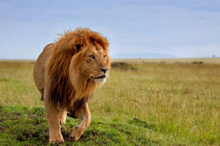 Arusha National park day tours