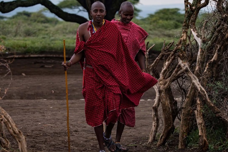 Maasai Boma Culture Tour