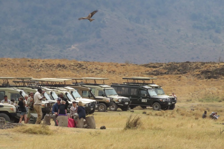 Ngorongoro Crater Day Tours